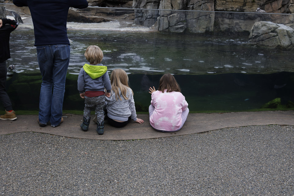 Woodland Park Zoo — photo 8